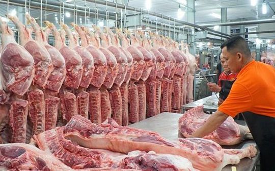 Sớm đảm bảo nguồn cung thịt lợn đáp ứng đủ nhu cầu trong nước