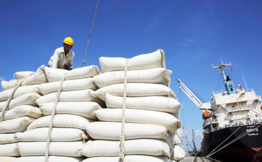 Tăng cường giám sát chặt việc đấu thầu gạo dự trữ quốc gia đợt 2