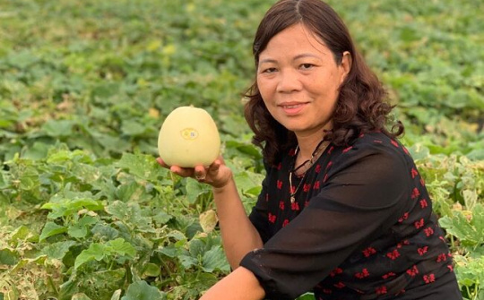 Nữ doanh nhân đi lên từ đồng ruộng