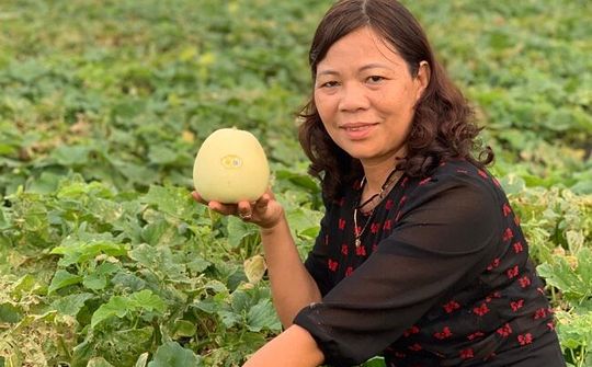Nữ doanh nhân đi lên từ đồng ruộng