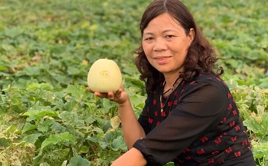 Nữ doanh nhân đi lên từ đồng ruộng