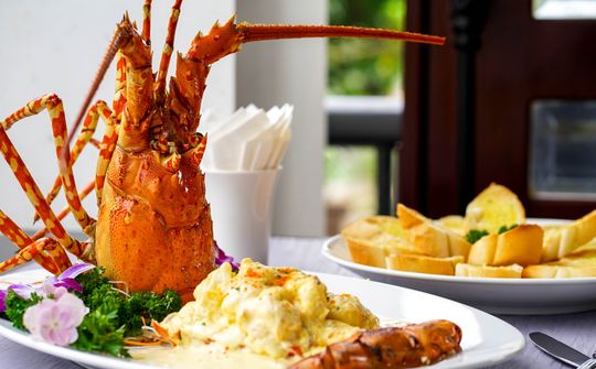 Ăn đi rồi biết!