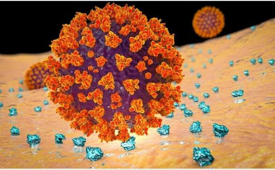 Điều tra nguồn gốc Covid-19: Australia tin Mỹ sẽ ủng hộ, Trung Quốc nói còn quá sớm để tiến hành