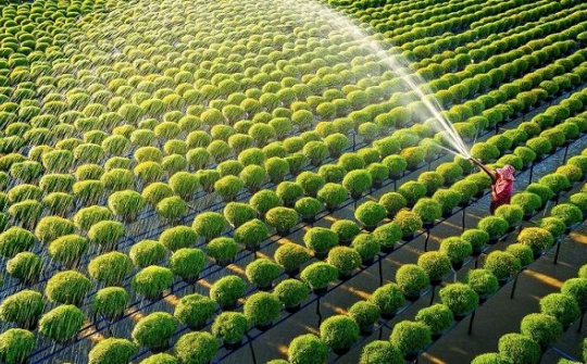 Để thị trường bất động sản nông nghiệp của Việt Nam phát triển bền vững