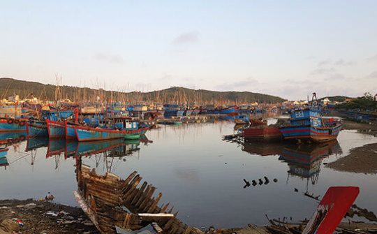 Quảng Ngãi: Sớm hồi sinh cảng cá Sa Huỳnh?