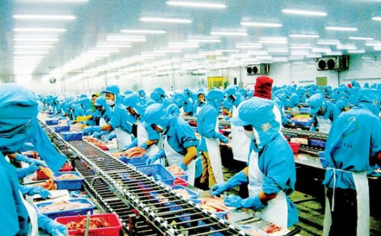 Doanh nghiệp Việt hậu Covid: Thời cơ để sàng lọc, chuyển đổi, liên kết