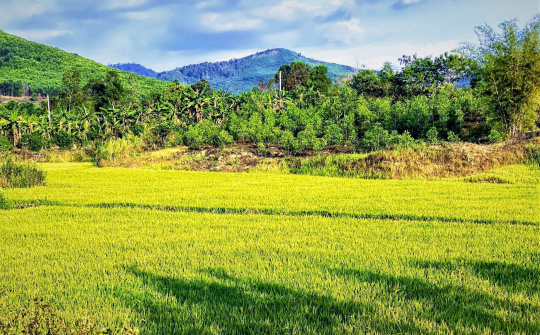 Huyện Buôn Đôn (Đắk Lắk) : Nỗ lực vượt qua khó khăn, đưa ngành nông nghiệp từng bước phát triển và hội nhập