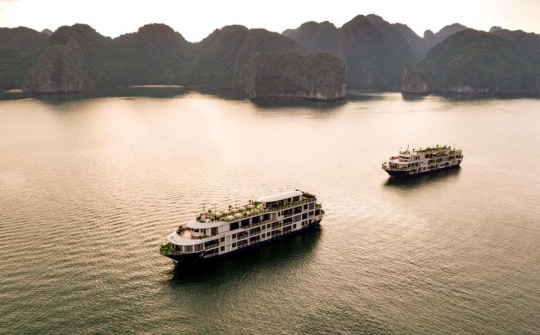 Doanh nghiệp du lịch lữ hành cùng nhau trải nghiệm tìm hướng đi mới