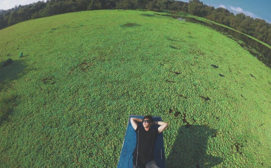 Trà Sư "lột xác" sau mùa dịch