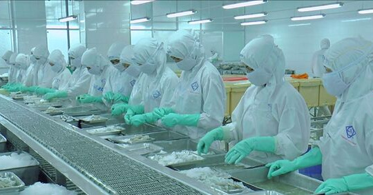 COVID-19 đẩy doanh nghiệp SME phải ứng phó với các vấn đề về dòng tiền