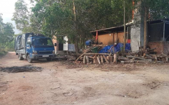 Quảng Nam: Thu hồi giấy phép kinh doanh lò rán mỡ gây ô nhiễm môi trường