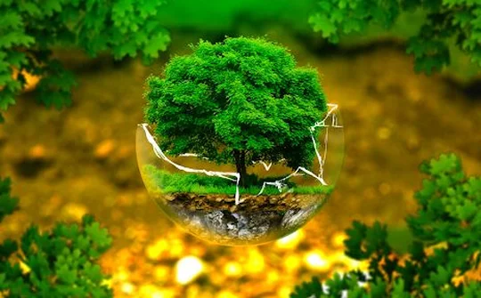 Sửa đổi Luật Bảo vệ môi trường: Quyết sách lớn từ 'khát vọng xanh'