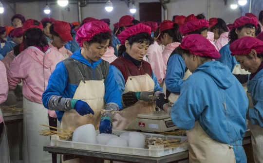 Hàn Quốc: Thương mại của Triều Tiên phụ thuộc chủ yếu vào Trung Quốc