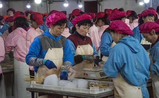 Hàn Quốc: Thương mại của Triều Tiên phụ thuộc chủ yếu vào Trung Quốc