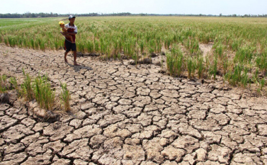 Quản lý xã hội trong tình huống bất thường