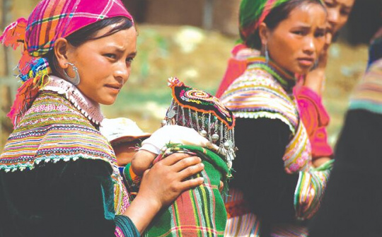 Nghiên cứu mới cho thấy sự đa dạng di truyền của người Việt Nam