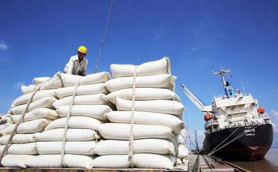 Đình chỉ công tác 7 cục trưởng liên quan đến dự trữ gạo quốc gia