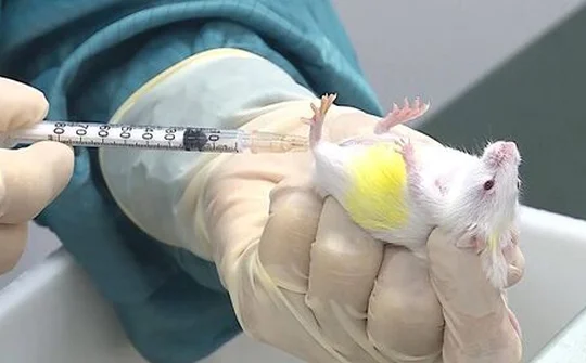 Việt Nam tiếp cận công nghệ mới trong nghiên cứu vaccine phòng Covid-19