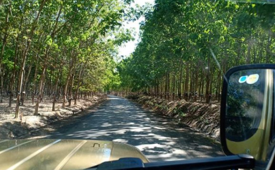 IA H’DRAI – Vành đai xanh biên cương