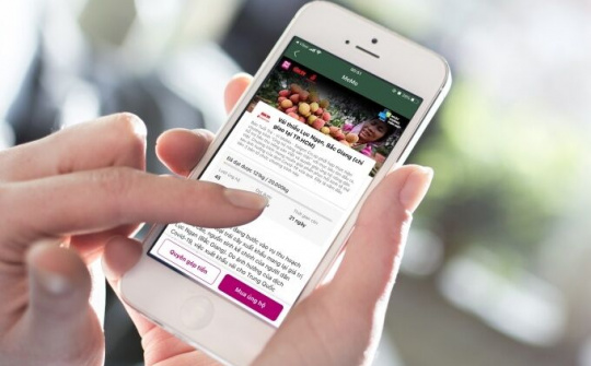 Cùng ví điện tử MoMo tìm đầu ra cho nông sản