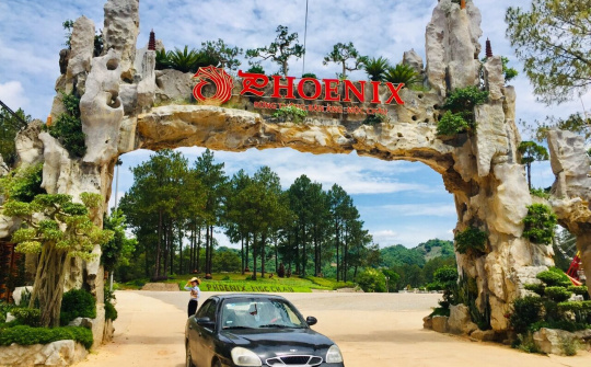 Rừng thông Bản Áng: Phượng Hoàng tung cánh trên cao nguyên Mộc Châu