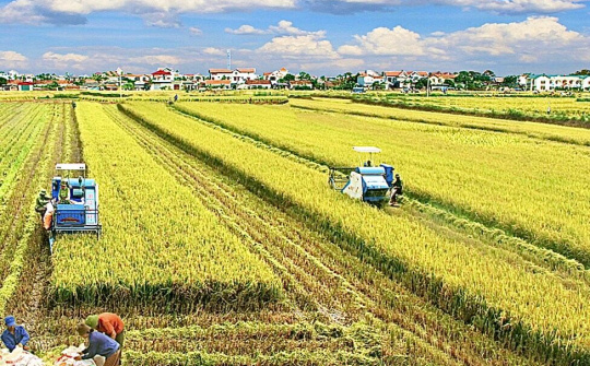 Miễn thuế để thúc đẩy hiện đại hóa nông nghiệp