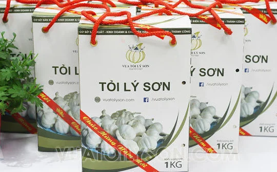 Phát triển thương hiệu tỏi Lý Sơn