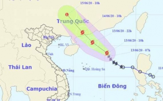 Chỉ đạo ứng phó Bão số 1 và mưa lớn diện rộng