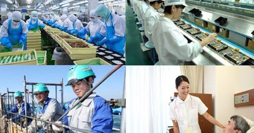 Hơn 100 nghìn người Việt Nam đi lao động ở nước ngoài mỗi năm