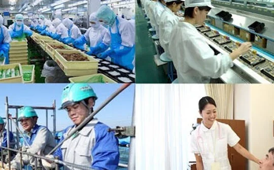 Hơn 100 nghìn người Việt Nam đi lao động ở nước ngoài mỗi năm