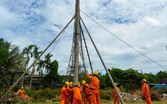 Điện lực Bình Định: Diễn tập phòng chống thiên tai và tìm kiếm cứu nạn năm 2020