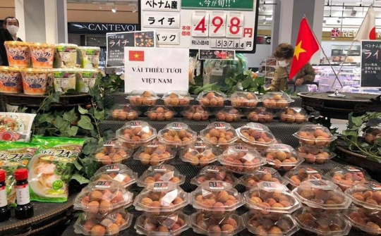Vải tươi Việt Nam lần đầu lên kệ siêu thị Nhật