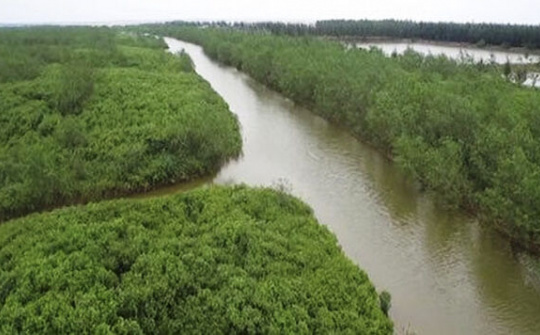 Thành lập Khu bảo tồn thiên nhiên đất ngập nước Thái Thụy, Thái Bình