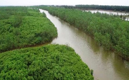 Thành lập Khu bảo tồn thiên nhiên đất ngập nước Thái Thụy, Thái Bình