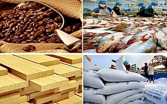 Thị trường CPTPP ưa chuộng hàng hóa Việt Nam