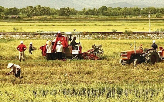 Đào tạo nguồn nhân lực cho nông nghiệp, nông thôn Việt Nam