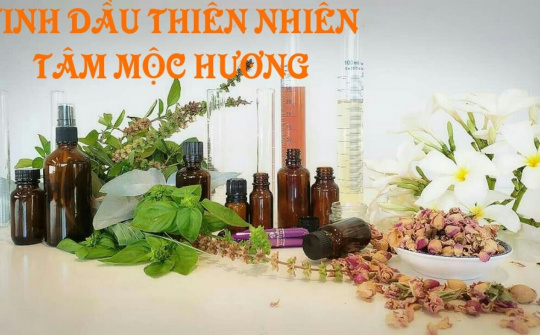 Khỏe và đẹp với tinh dầu Tâm Mộc Hương