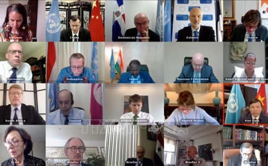 Việt Nam chủ trì họp Nhóm công tác của HĐBA về các tòa án quốc tế