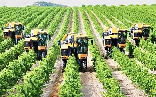 Nông nghiệp Việt Nam phấn đấu vào top 15 nước phát triển nhất thế giới vào 2030