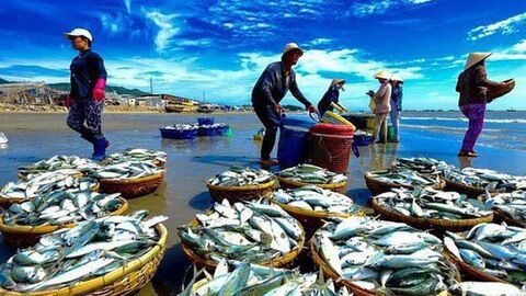 Ngăn chặn khai thác thủy sản bất hợp pháp