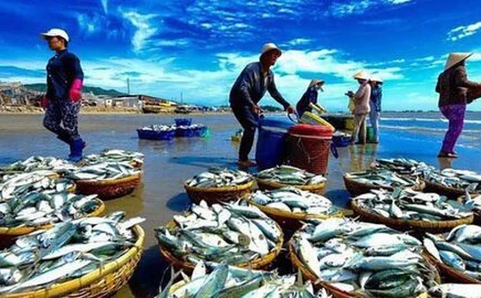 Ngăn chặn khai thác thủy sản bất hợp pháp