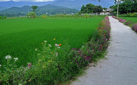 Nam Đàn: Thành quả đáng trân trọng sau hơn 01 năm xây dựng nông thôn mới kiểu mẫu
