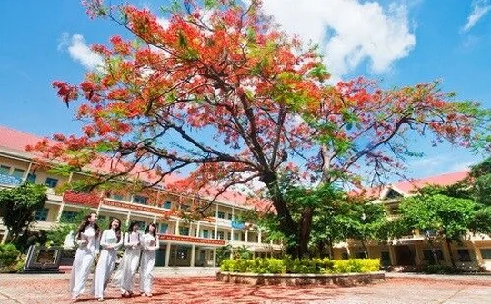 “Nỗi buồn hoa phượng” và lời cảm ơn với người thầy không chịu “gù lưng”