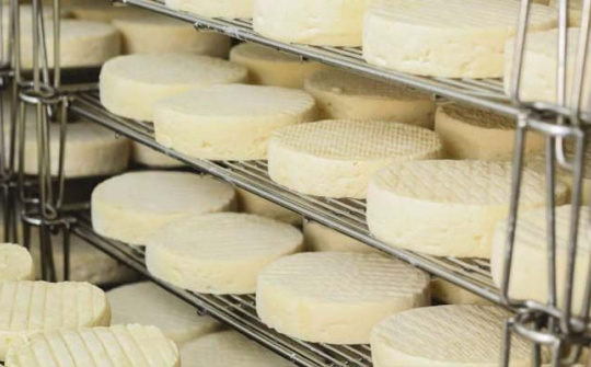 CNN khen ngợi phô mai Đà Lạt là tuyệt phẩm phô mai ngon nhất châu Á