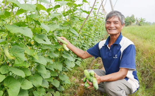 Ứng dụng khoa học - công nghệ để phát triển bền vững