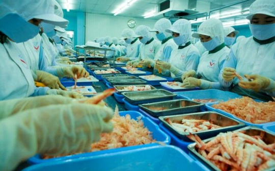 Vượt thách thức của thị trường lao động thời hậu Covid