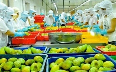 Bất chấp Covid-19, rau quả Việt Nam vẫn mở mới được nhiều thị trường