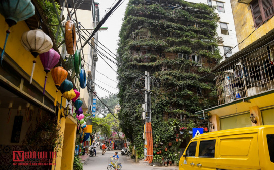 Độc đáo cây hoa giấy bọc kín ngôi nhà 5 tầng giữa lòng Thủ đô