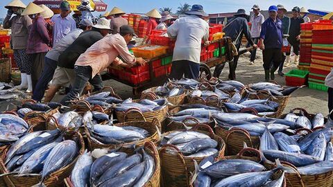 Xuất khẩu thủy sản phấn đấu đạt 10 tỷ USD