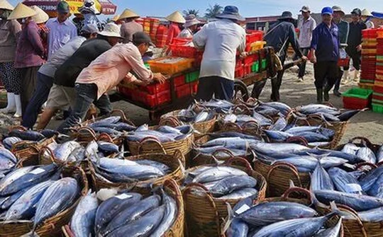 Xuất khẩu thủy sản phấn đấu đạt 10 tỷ USD